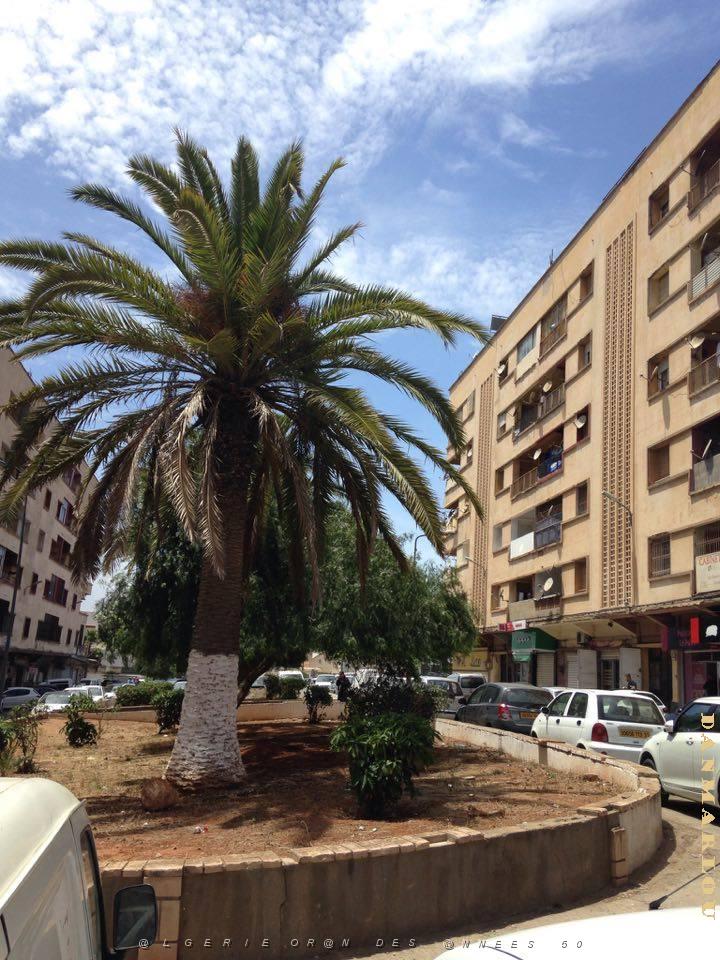 ORAN-HLM DE GAMBETTA  (3).jpg